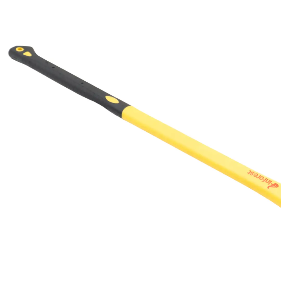 INFOREST_STRUCTURAL_AXE_FIBER_3