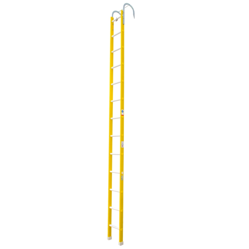 Assault ladders with anchor point